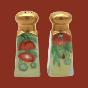 Vintage Kitchen Hand Painted Floral Bavarian Salt & Pepper Shakers (no plugs)